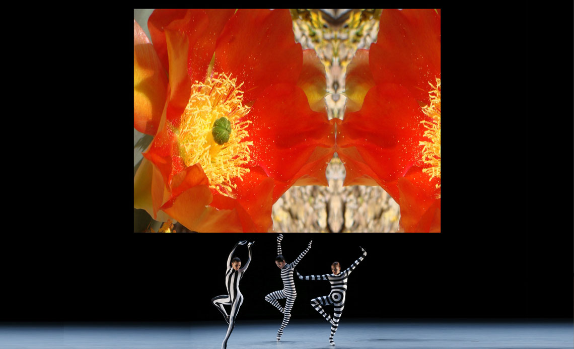 Barbarah Hochstetler