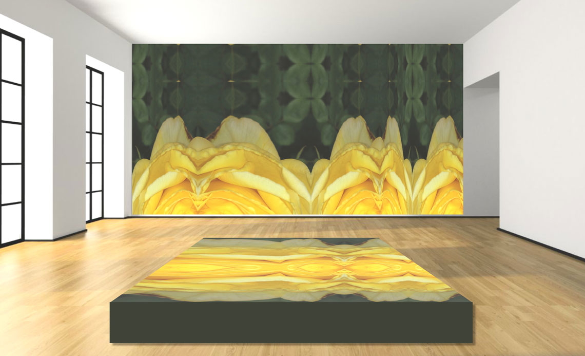 Barbarah Hochstetler